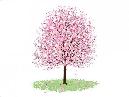 pink_cherry_blossom_tree_karen