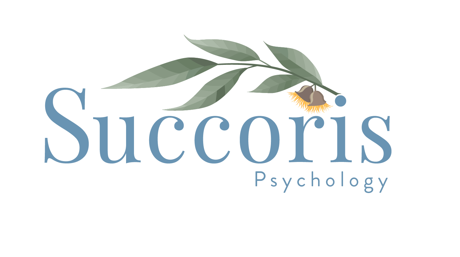 Succoris Logo